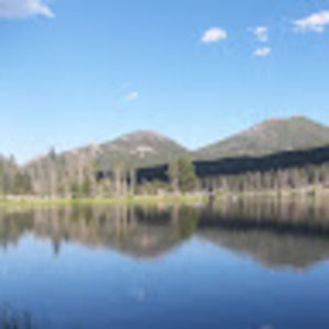 Meet your Posher, Catie